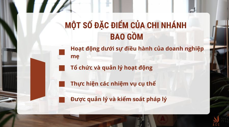 mot-so-dac-diem-cua-chi-nhanh-bao-gom