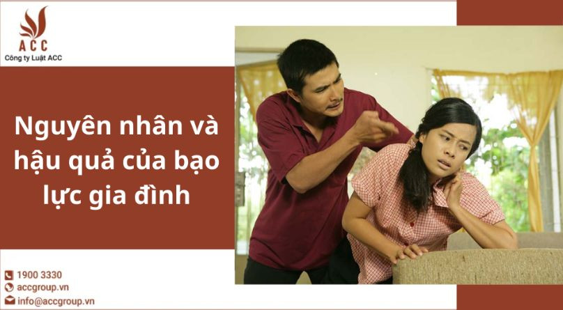 Nguyên nhân và hậu quả của bạo lực gia đình