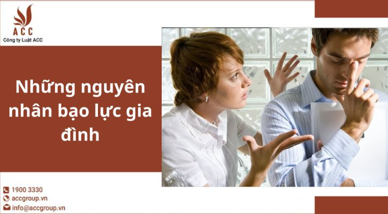 Những nguyên nhân bạo lực gia đình