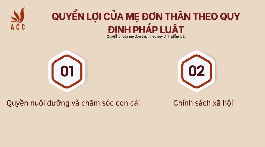 Quyền lợi của mẹ đơn thân theo quy định pháp luật