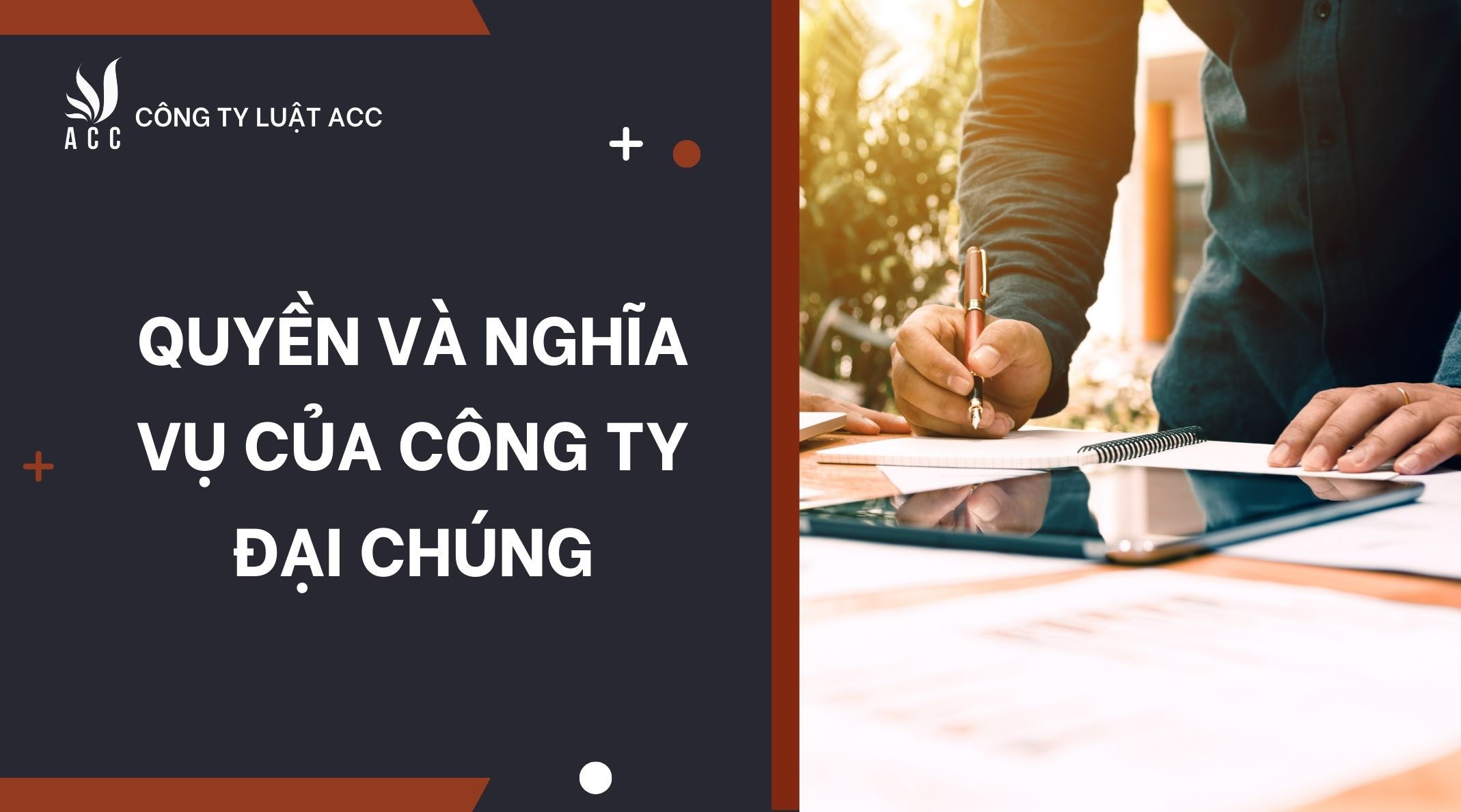 Quyền và nghĩa vụ của công ty đại chúng