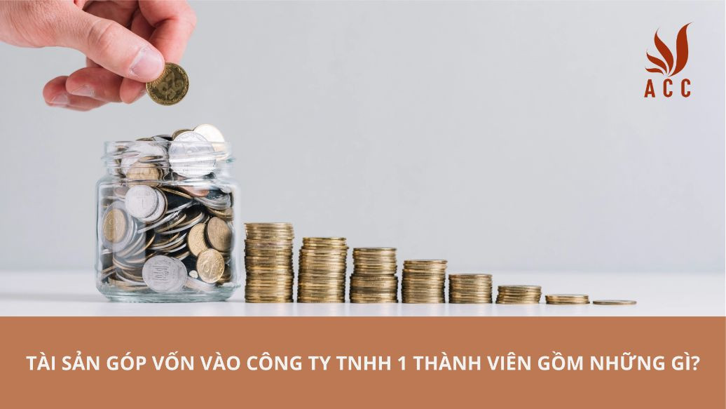Tài sản góp vốn vào công ty TNHH 1 thành viên gồm những gì?