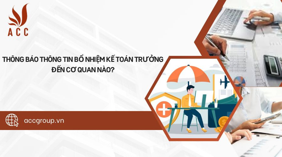 Thông báo thông tin bổ nhiệm kế toán trưởng đến cơ quan nào?