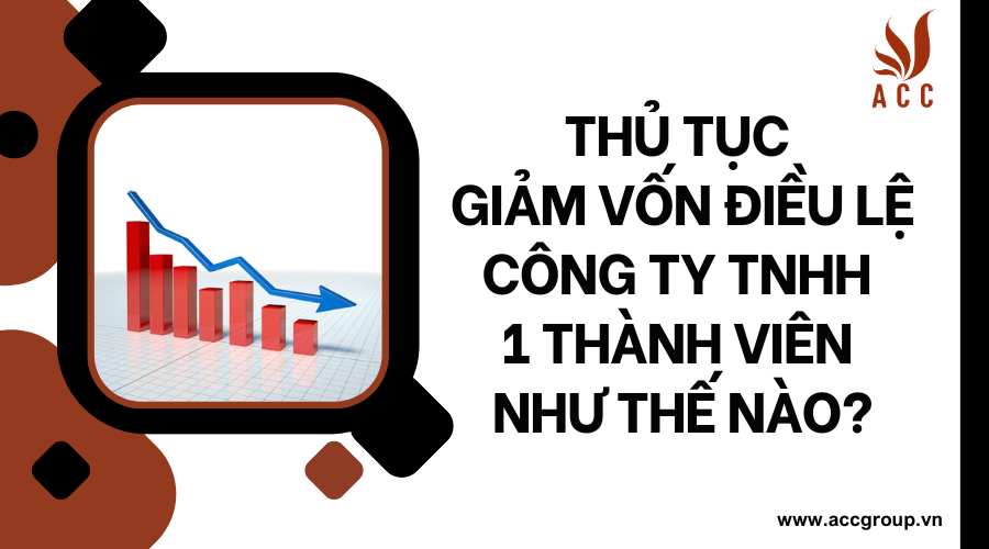 Thủ tục giảm vốn điều lệ công ty tnhh 1 thành viên như thế nào?