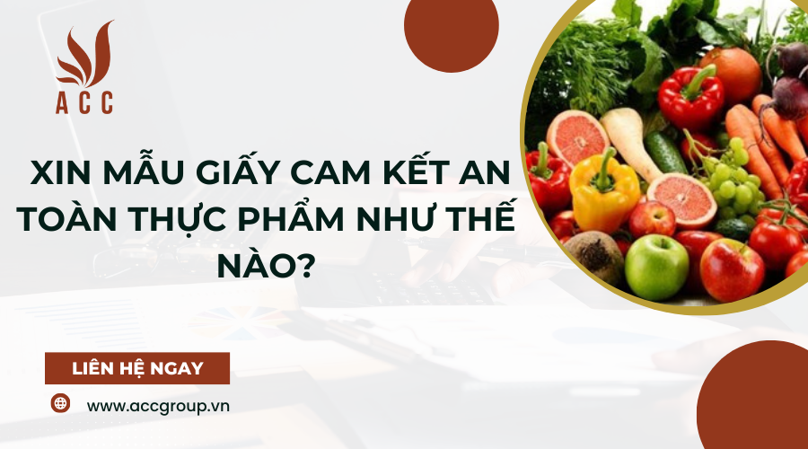 xin-mau-giay-cam-ket-an-toan-thuc-pham-nhu-the-nao