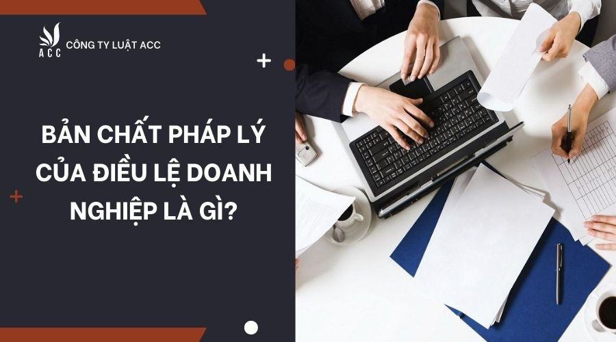 ban-chat-phap-ly-cua-dieu-le-doanh-nghiep-la-gi