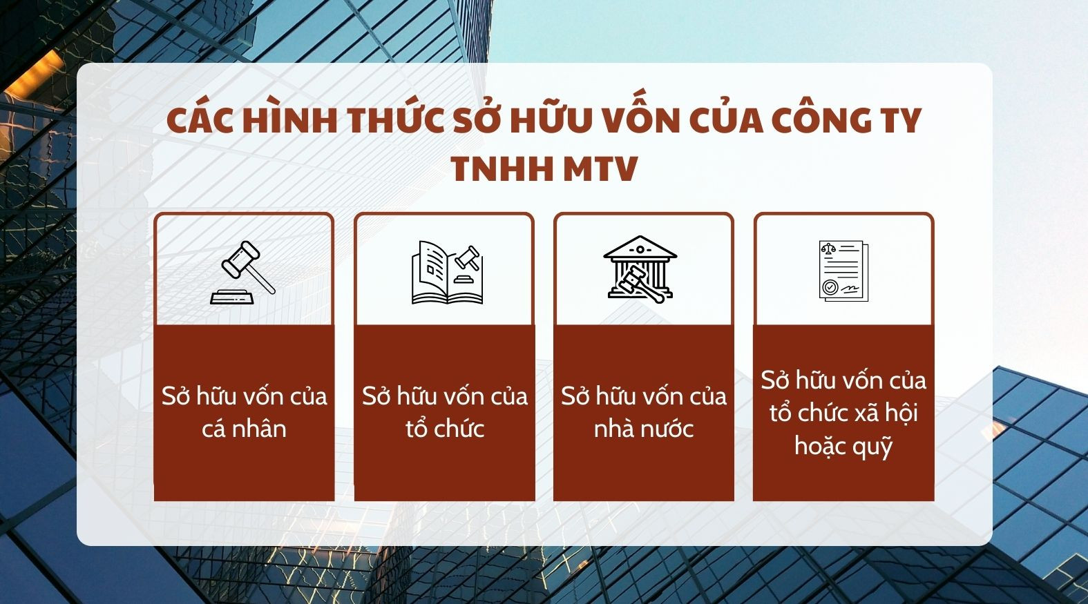 Các hình thức sở hữu vốn của công ty TNHH MTV