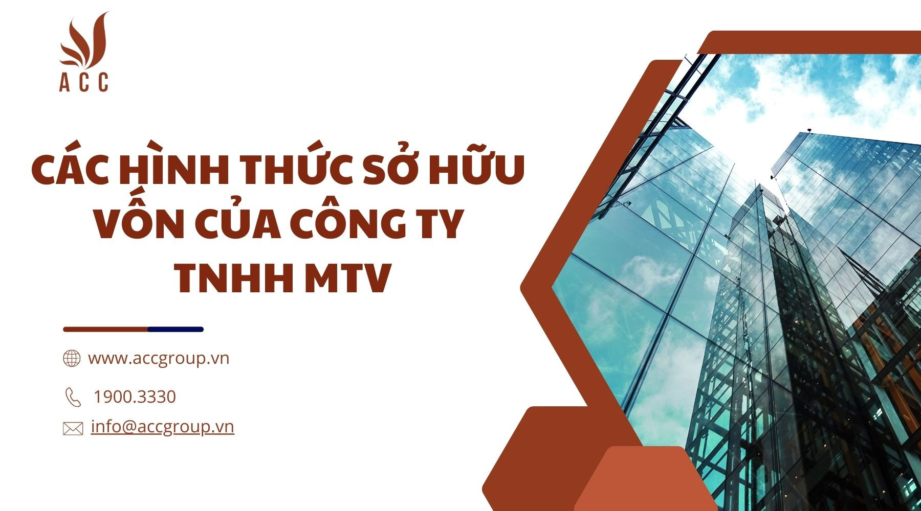 cac-hinh-thuc-so-huu-von-cua-cong-ty-tnhh-mtv