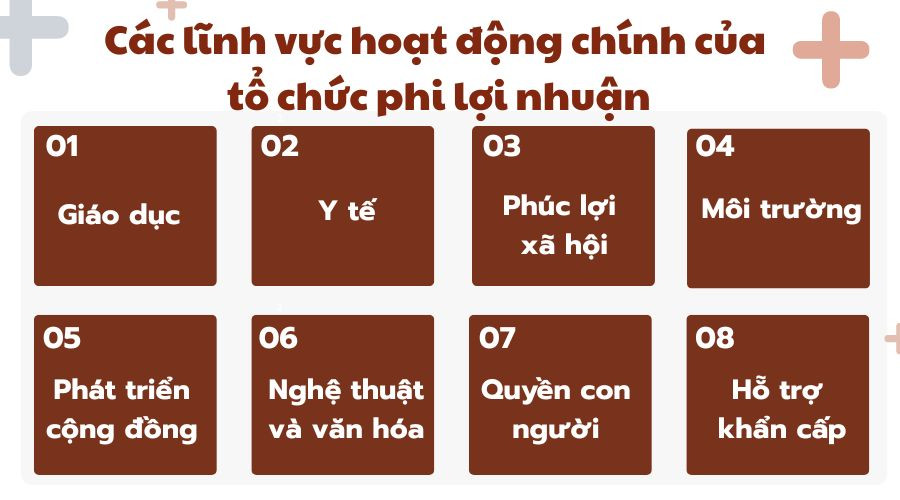 Các lĩnh vực hoạt động chính của tổ chức phi lợi nhuận