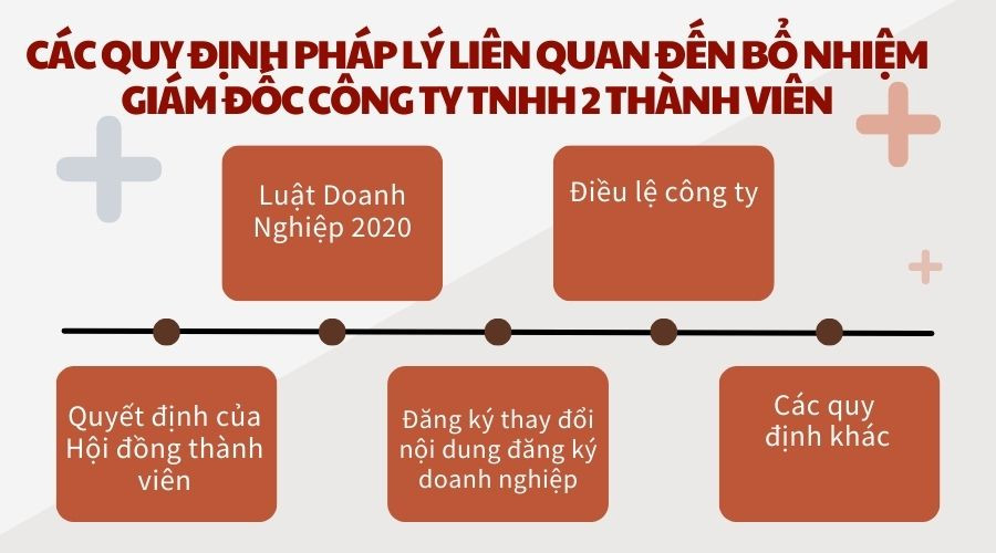 Các quy định pháp lý liên quan đến bổ nhiệm giám đốc công ty TNHH 2 thành viên