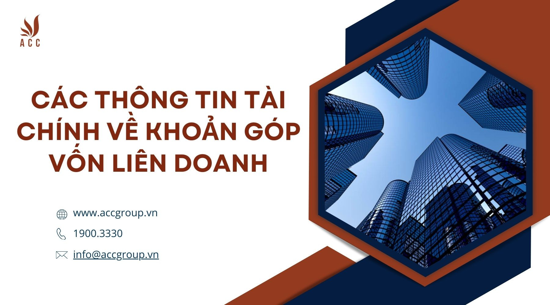 cac-thong-tin-tai-chinh-ve-khoan-gop-von-lien-doanh-1