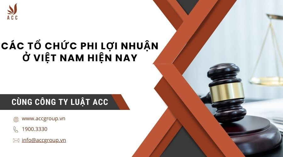 Các tổ chức phi lợi nhuận ở Việt Nam hiện nay