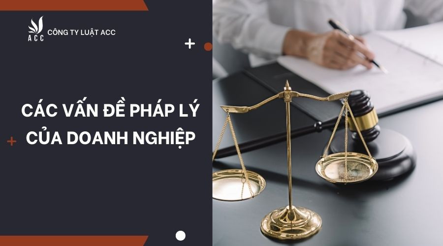 cac-van-de-phap-ly-cua-doanh-nghiep
