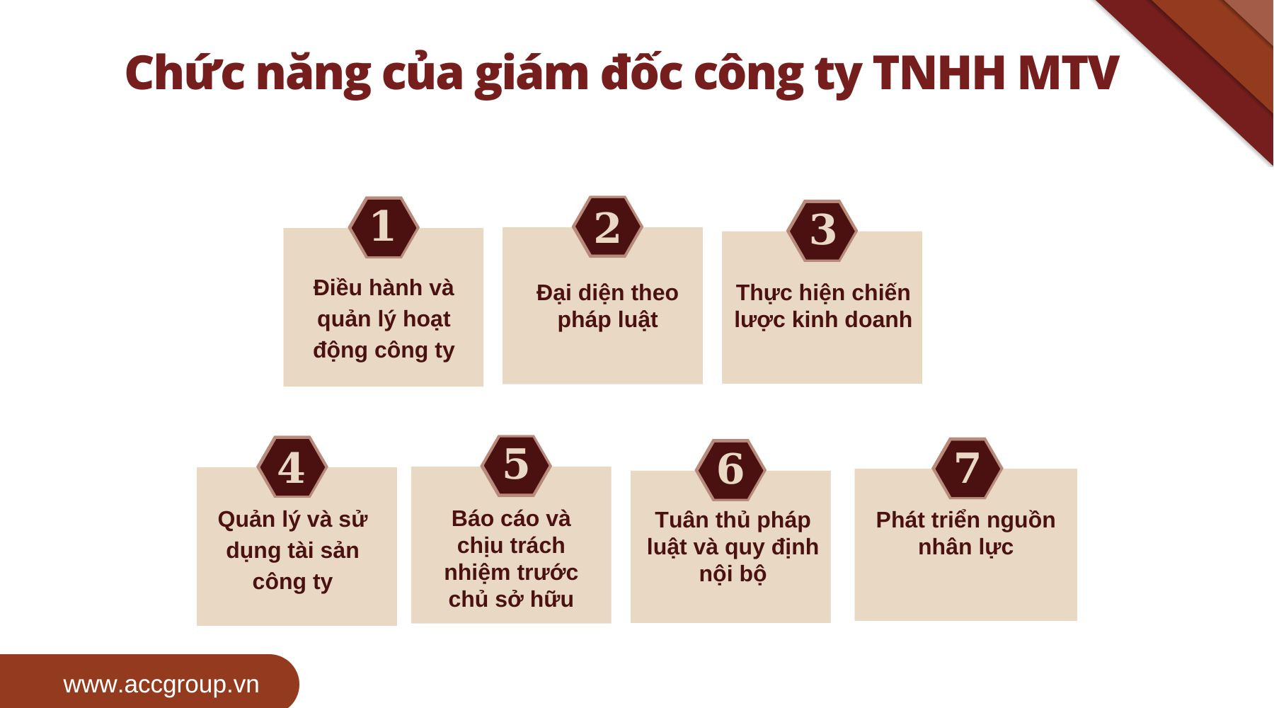 Chức năng của giám đốc công ty TNHH MTV