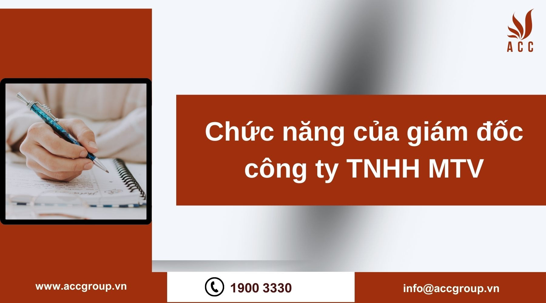 Chức năng của giám đốc công ty TNHH MTV