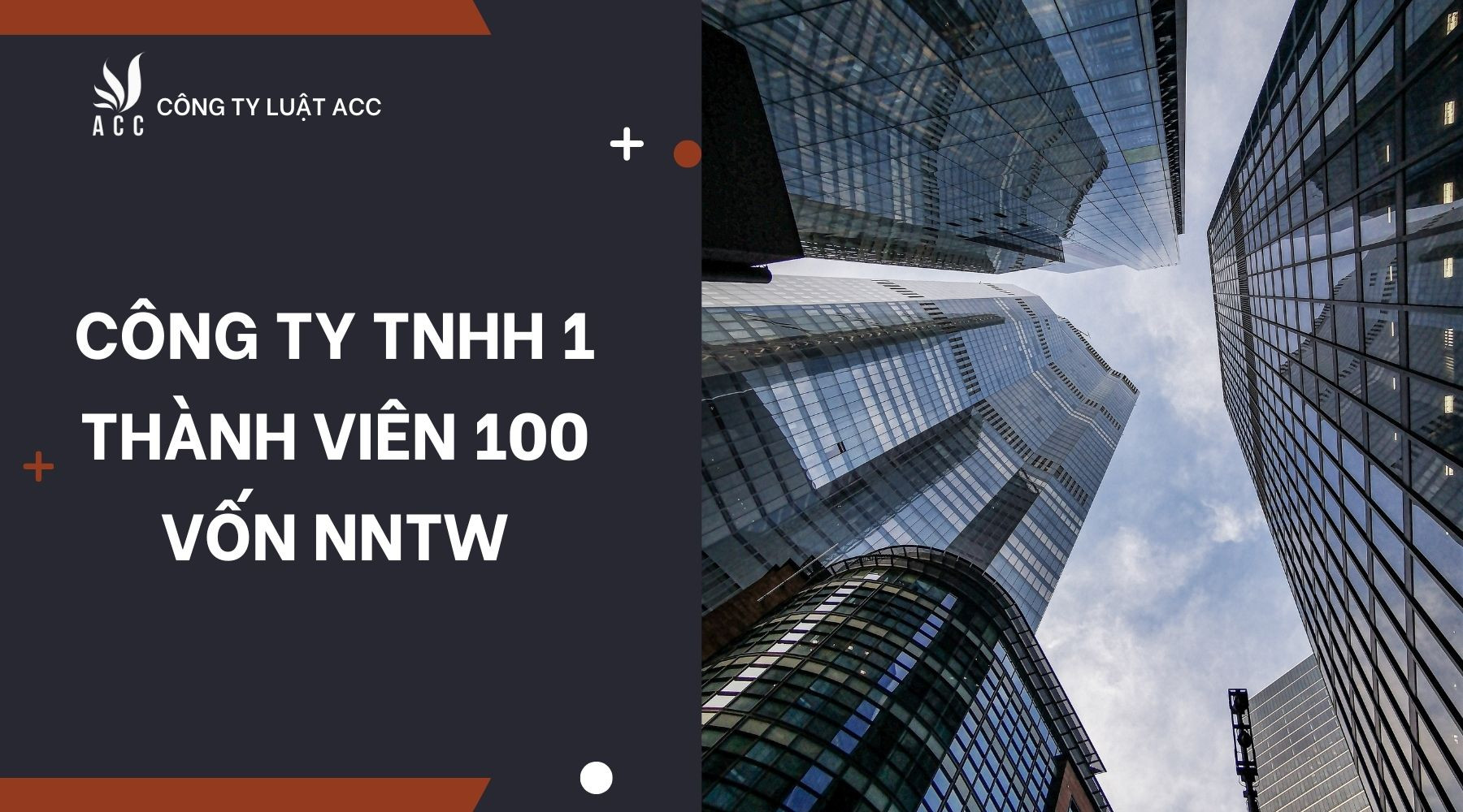 cong-ty-tnhh-1-thanh-vien-100-von-nntw