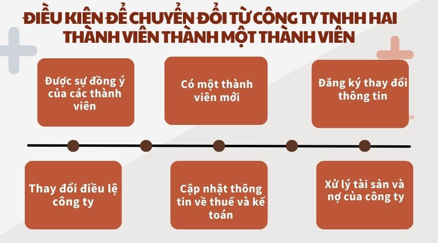 Điều kiện để chuyển đổi từ công ty TNHH hai thành viên thành một thành viên