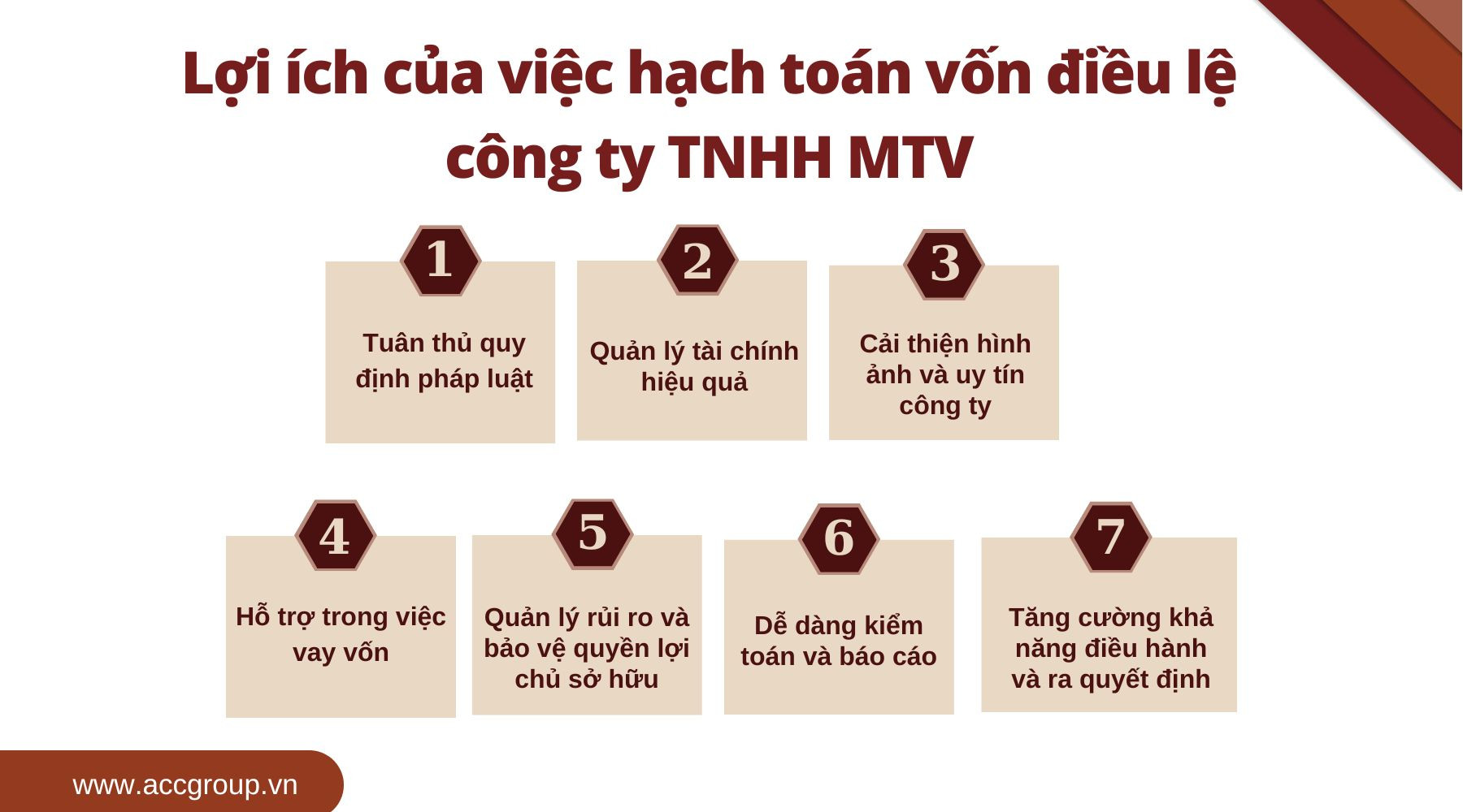 Lợi ích của việc hạch toán vốn điều lệ công ty TNHH MTV