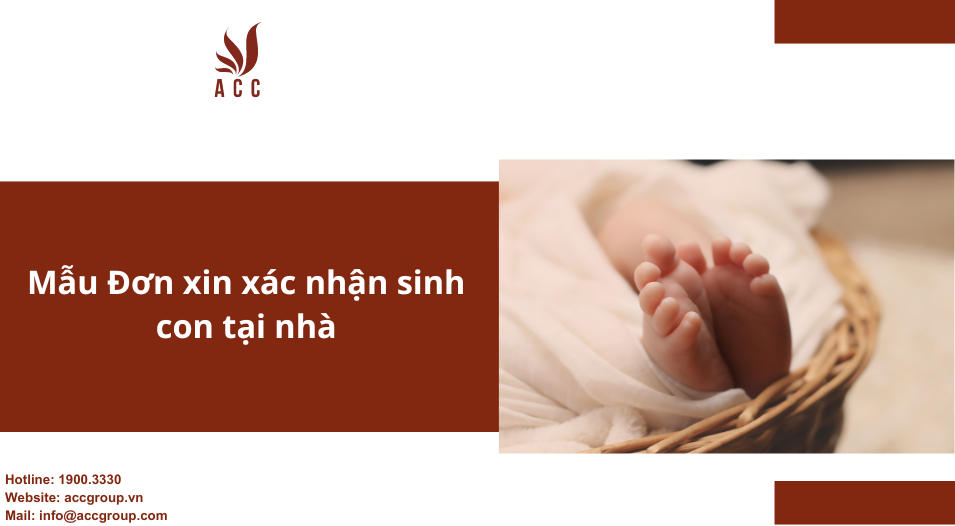 Mẫu Đơn xin xác nhận sinh con tại nhà