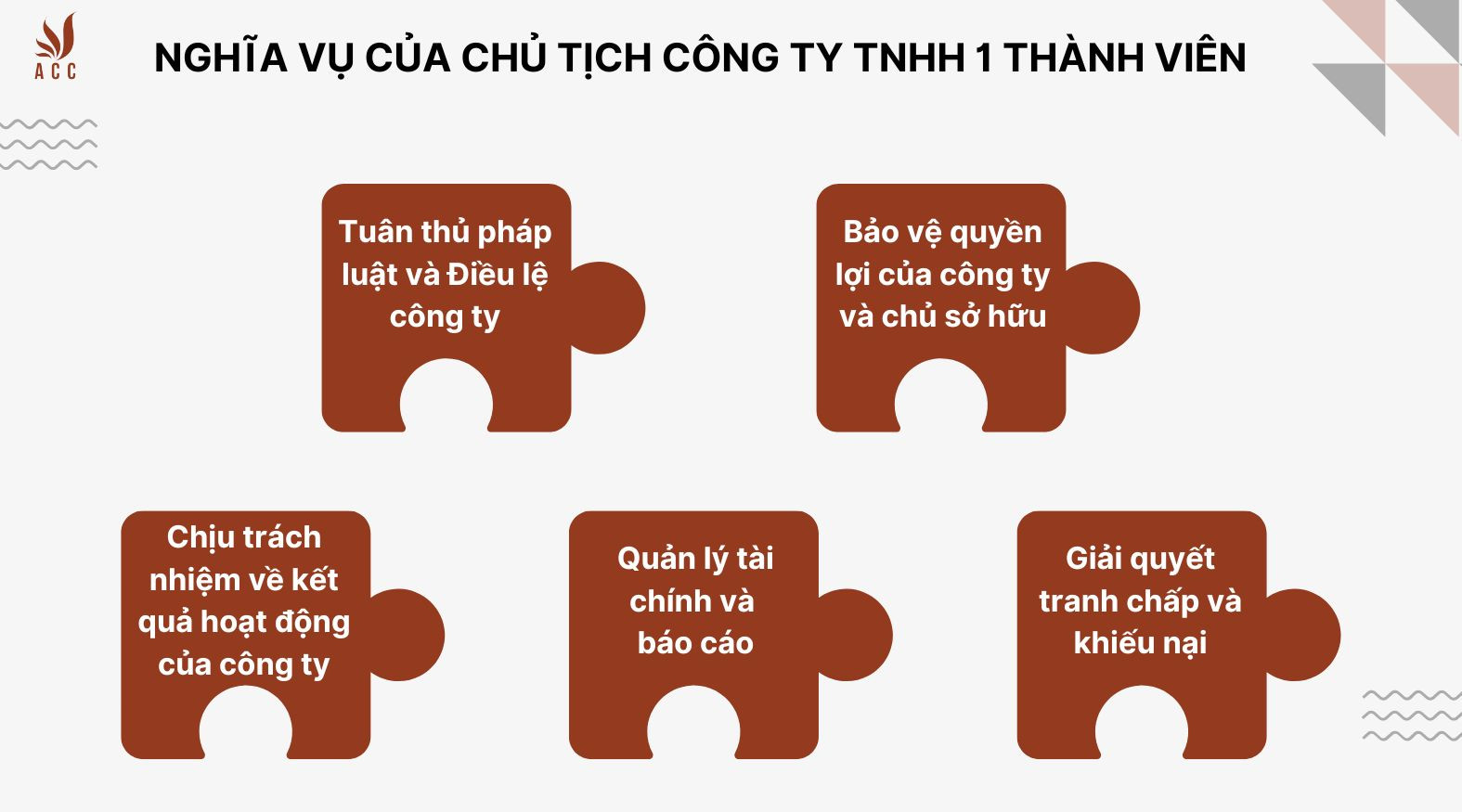 Quyền, nghĩa vụ và chế độ làm việc của chủ tịch công ty TNHH 1 thành viên