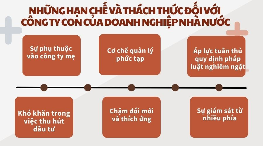 Những hạn chế và thách thức đối với công ty con của doanh nghiệp Nhà nước