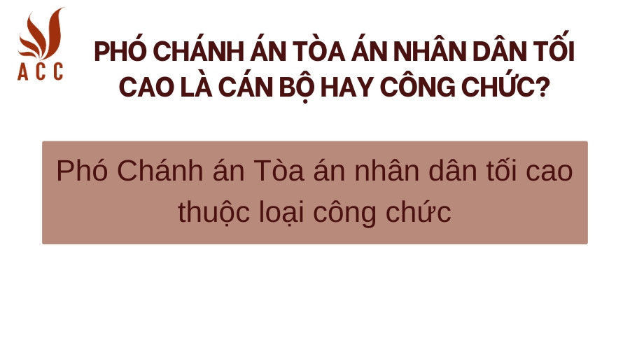 Phó chánh án tòa án nhân dân tối cao là cán bộ hay công chức?