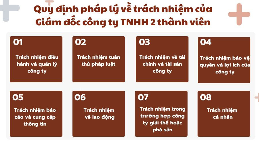 Quy định pháp lý về trách nhiệm của Giám đốc công ty TNHH 2 thành viên