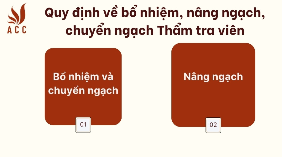 Quy định về bổ nhiệm, nâng ngạch, chuyển ngạch Thẩm tra viên