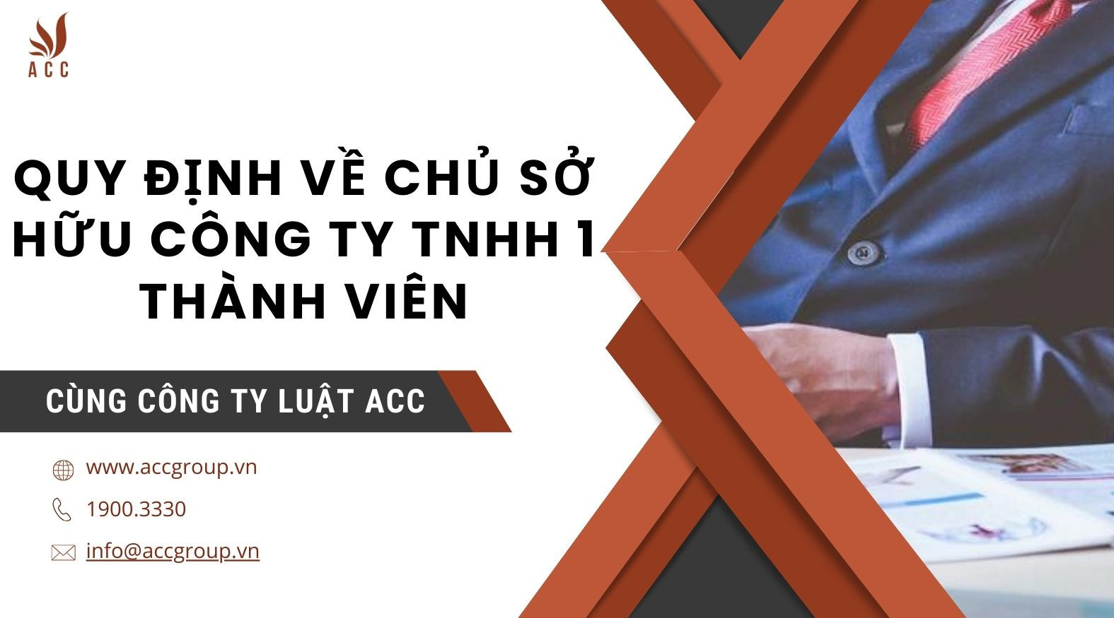 Quy định về chủ sở hữu công ty TNHH 1 thành viên