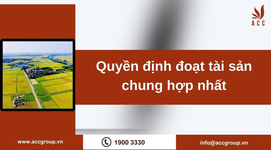 Quyền định đoạt tài sản chung hợp nhất