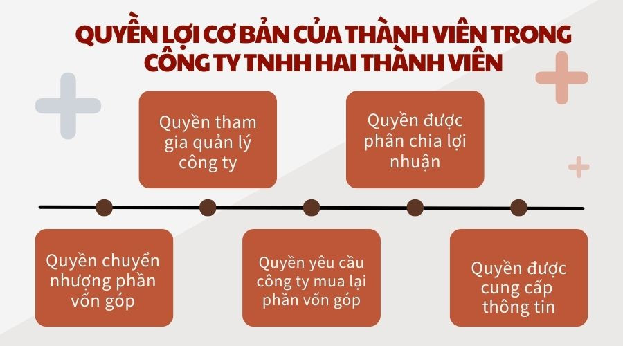 Quyền lợi cơ bản của thành viên trong công ty TNHH hai thành viên