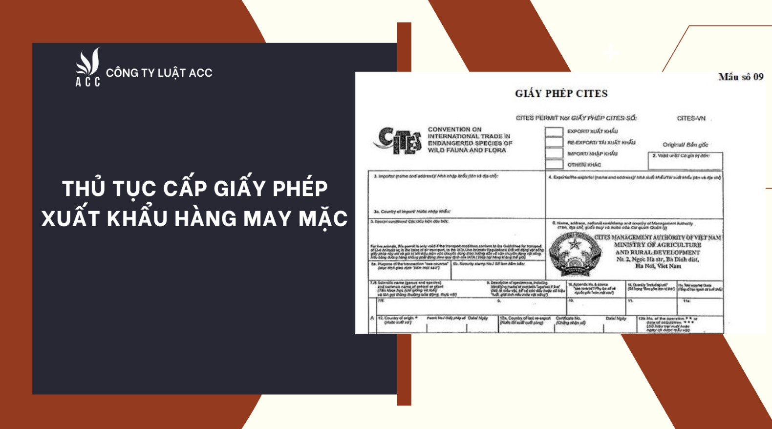 quyen-loi-khi-dang-ky-giay-phep-kinh-doanh