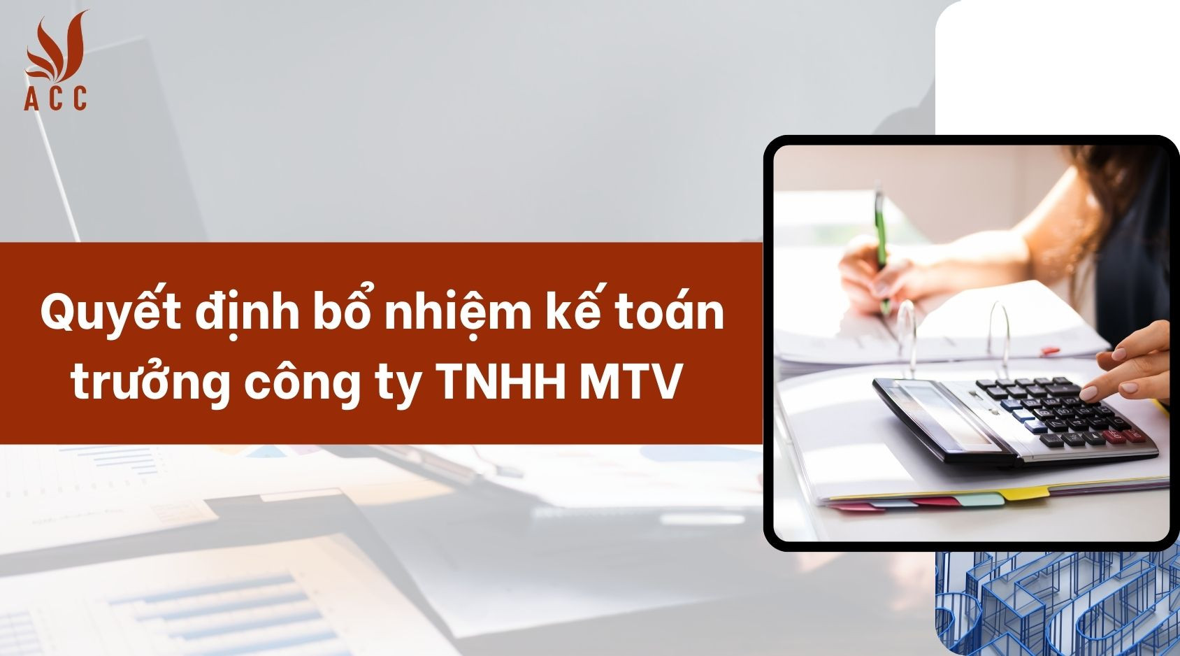 Mẫu quyết định bổ nhiệm kế toán trưởng công ty TNHH MTV (Mới nhất)