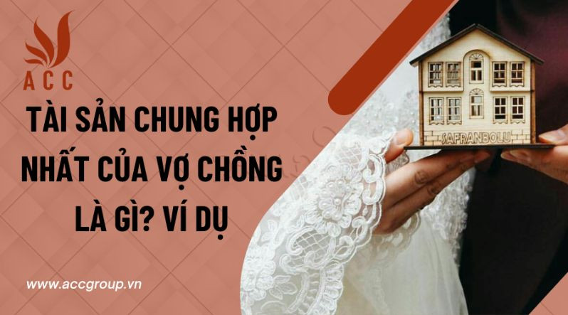 Tài sản chung hợp nhất của vợ chồng là gì? Ví dụ