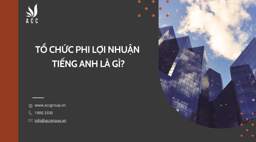 Tổ chức phi lợi nhuận tiếng Anh là gì?
