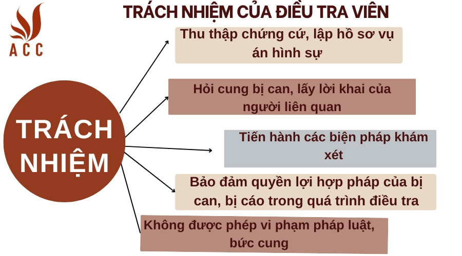 Trách nhiệm của Điều tra viên