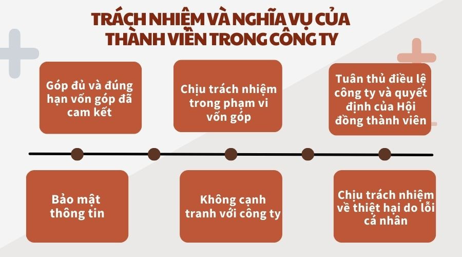 Trách nhiệm và nghĩa vụ của thành viên trong công ty