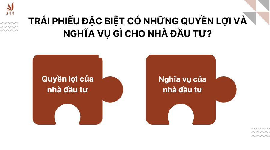 Trái phiếu đặc biệt có những quyền lợi và nghĩa vụ gì cho nhà đầu tư?