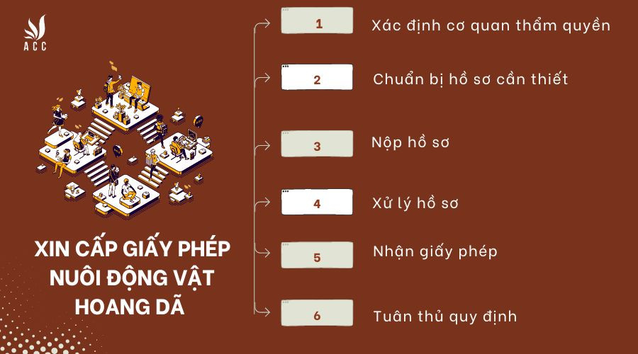 xin-cap-giay-phep-nuoi-dong-vat-hoang-da-con-dui-o-dau-nhu-the-nao