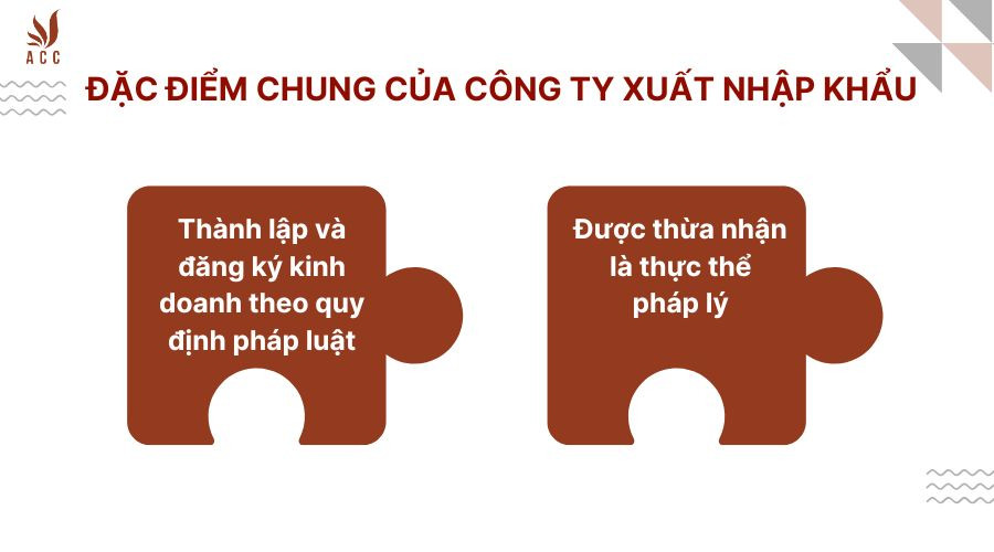 dac-diem-chung-cua-cong-ty-xuat-nhap-khau