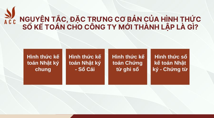 nguyen-tac-dac-trung-co-ban-cua-hinh-thuc-so-ke-toan-cho-cong-ty-moi-thanh-lap-la-gi