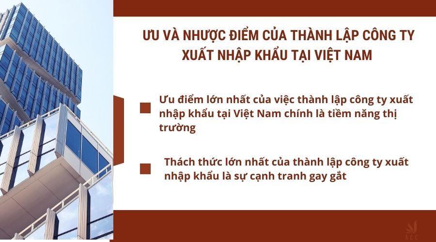 uu-va-nhuoc-diem-cua-thanh-lap-cong-ty-xuat-nhap-khau-tai-viet-nam