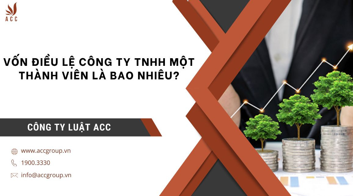 Vốn điều lệ công ty TNHH 1 thành viên là bao nhiêu?