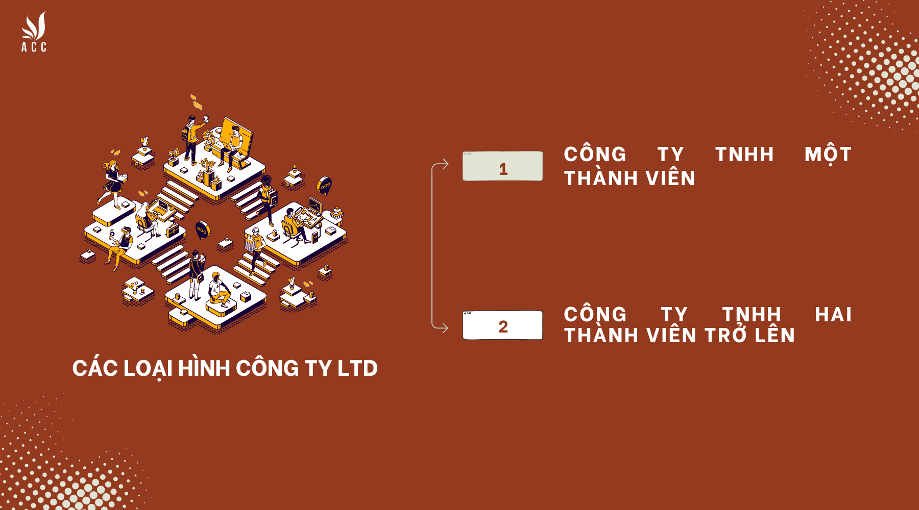 Các loại hình Co.Ltd