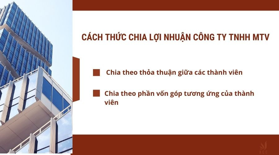 cach-thuc-chia-loi-nhuan-cong-ty-tnhh-mtv
