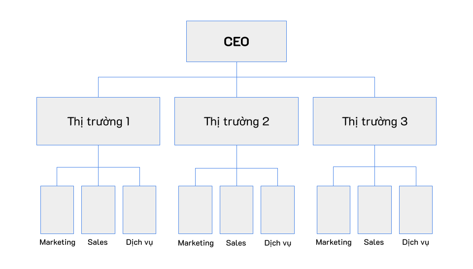 Cơ cấu tổ chức theo thị trường