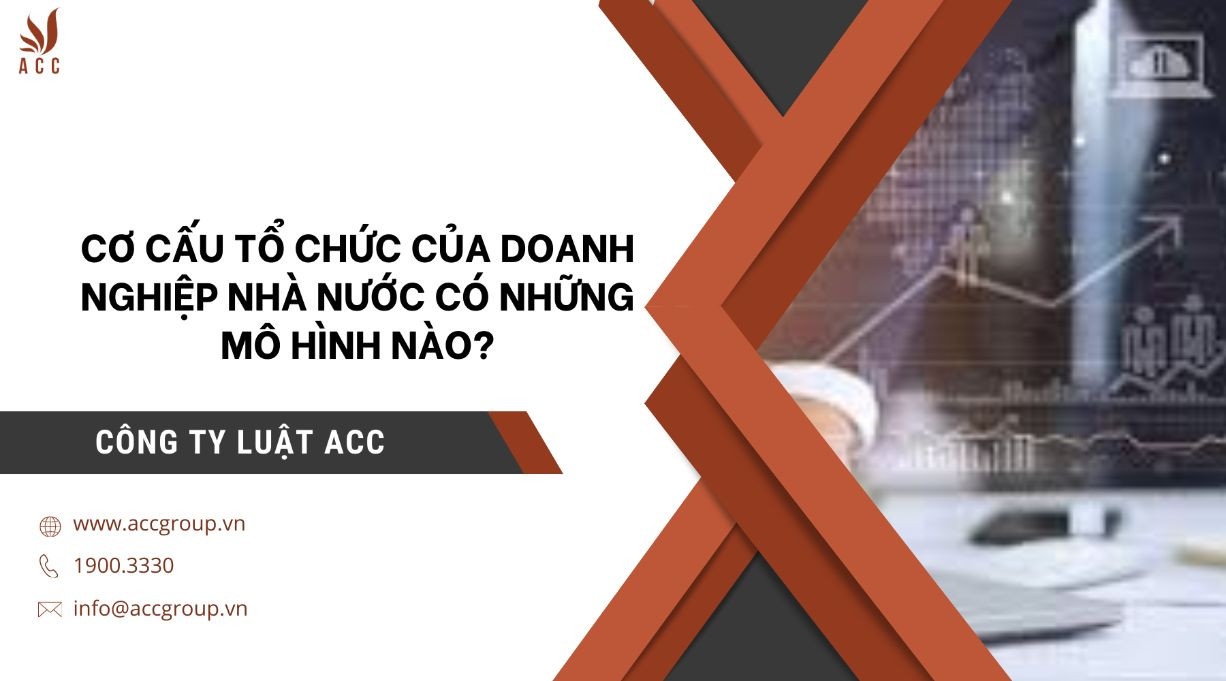 co-cau-to-chuc-cua-doanh-nghiep-nha-nuoc-co-nhung-mo-hinh-nao