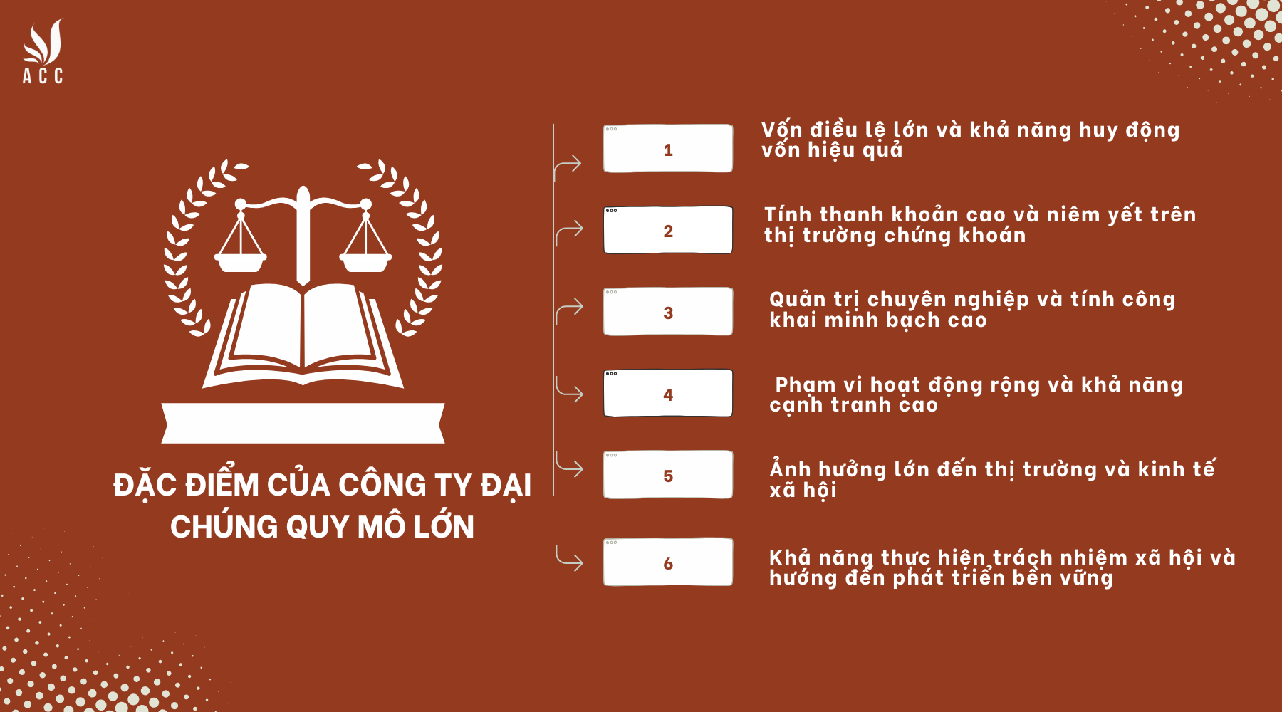 Đặc điểm của công ty đại chúng quy mô lớn