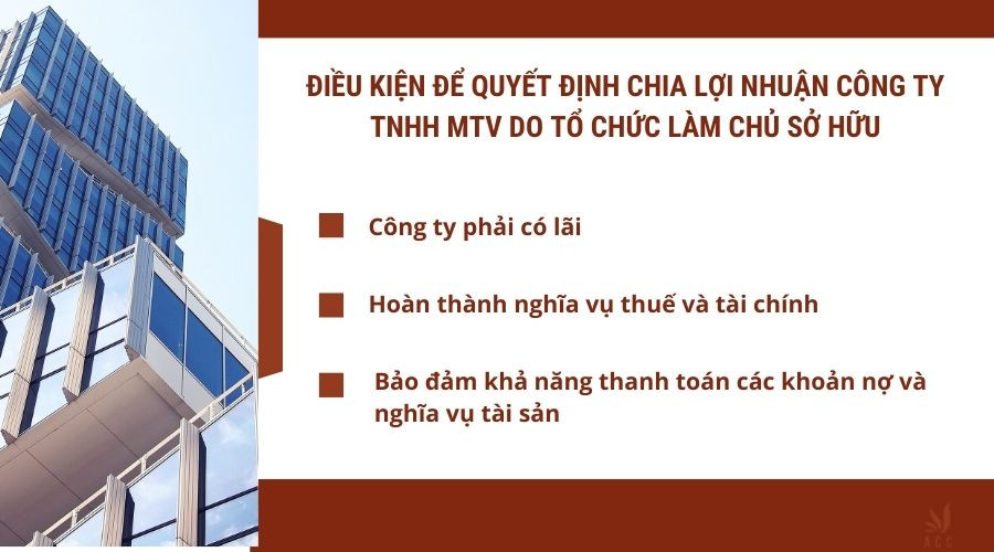 dieu-kien-de-quyet-dinh-chia-loi-nhuan-cong-ty-tnhh-mtv-do-to-chuc-lam-chu-so-huu