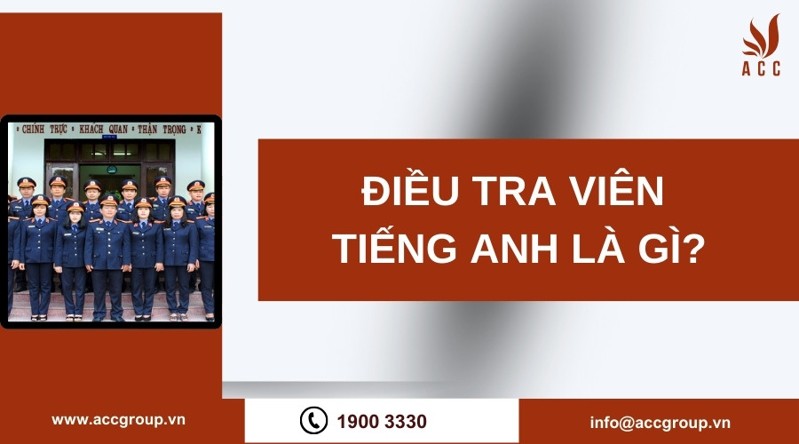 Điều tra viên tiếng Anh là gì?